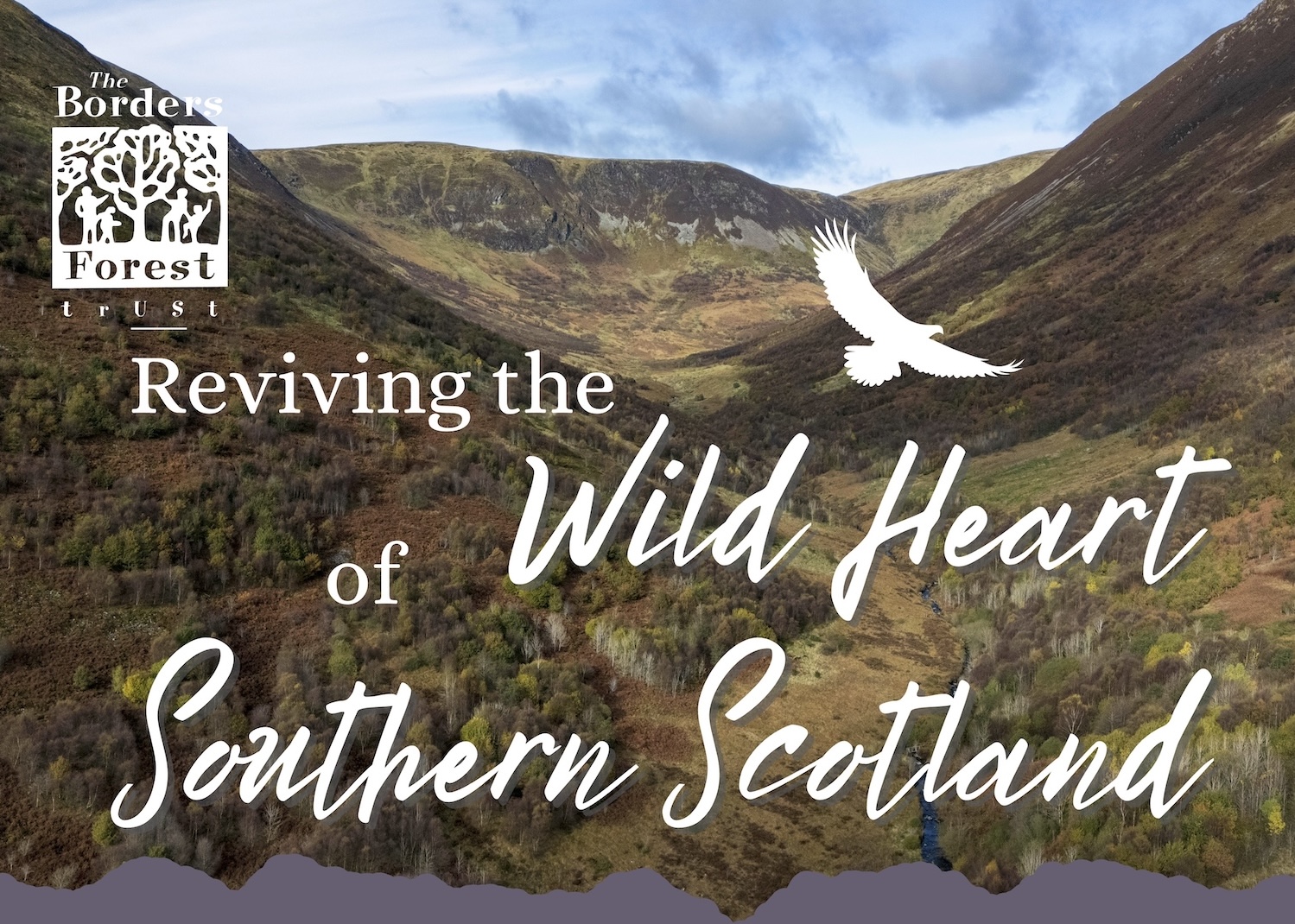 Reviving the wild heart of southern Scotland - talk